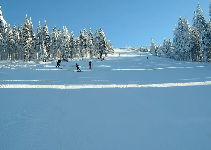 Lägenhet Votrubcovi