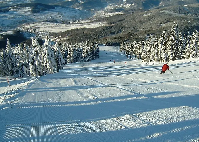 Votrubcovi